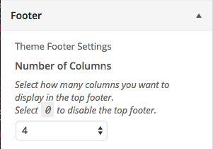 Footer Widget Amount